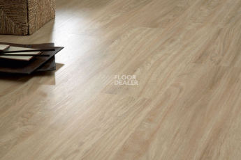 IVC Primero (DryBack) IVC Primero  24234Q фото 8 | FLOORDEALER